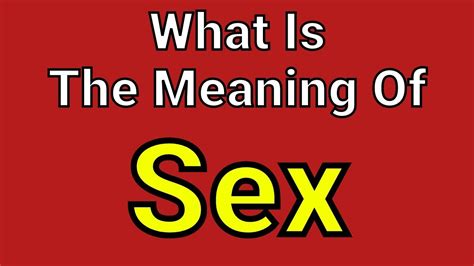 sex sex english picture